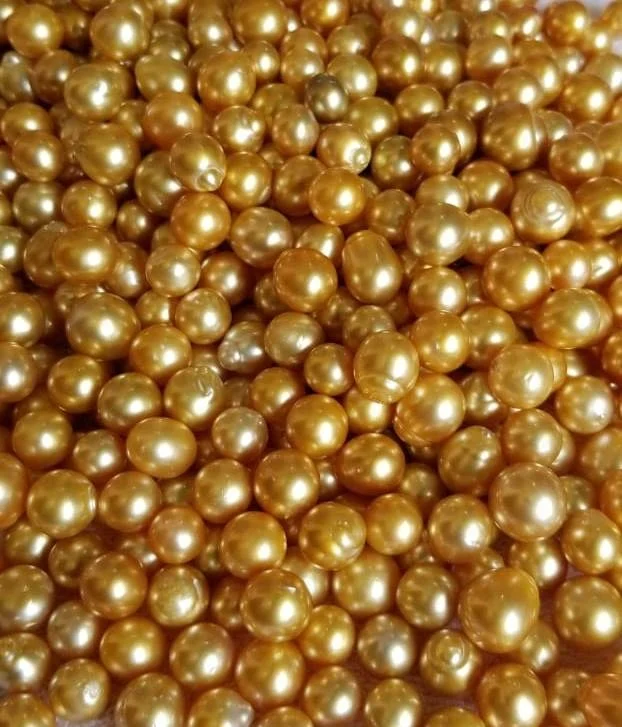 
LOOSE DROP SHAPE SALTWATER SEAWATER SOUTH SEA PEARL 