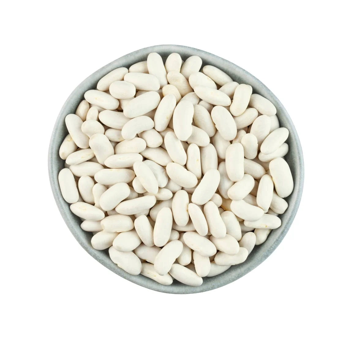 Wholesale bulk organic white beans long shape buy dry white beans for best quality and market price