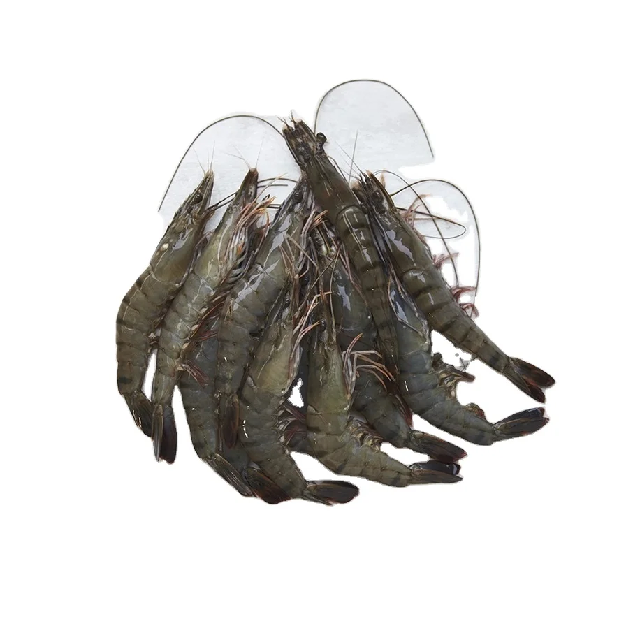100% Natural Fresh Seafood Delicious Box Packaging (8-10 pcs/kg) Semi-IQF 1 kg/box Frozen Tiger Shrimp