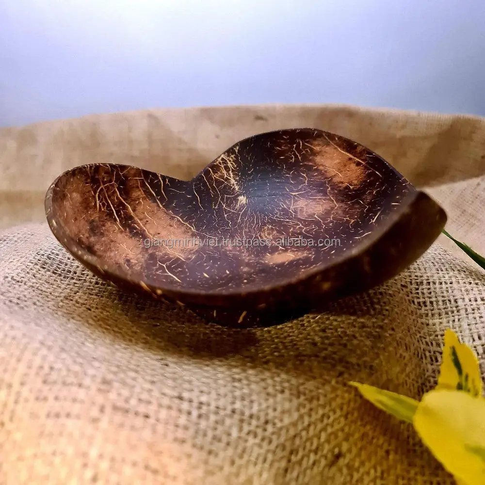 Vietnam GMV New Products Organic Plastic Free Hand Made Coconut Bowl
