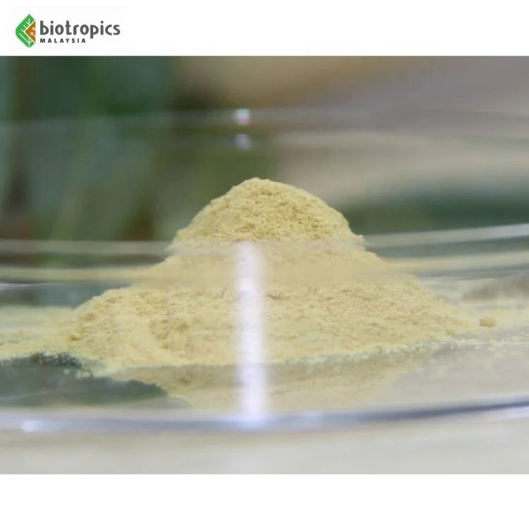 New High Quality Malaysia Plant Extract Tongkat Ali PG5 100% Roots for Energy, Muscle Building, Stamina