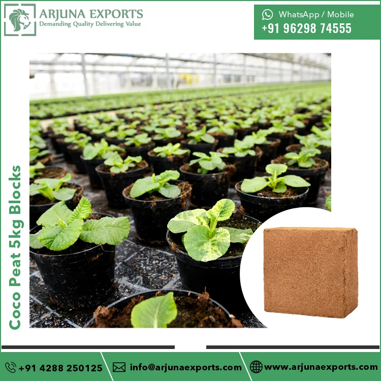 Coconut Coco Peat or Coir Pith 5kg Bricks for Home Gardening and Greenhouse Growers at Best Price From Leading Exporter