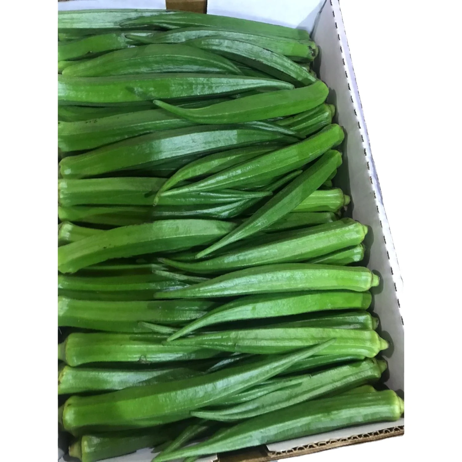 Okra Pusa Sawani / Okra Dark Green for for consumption - MN GLOBAL IMPEX from india