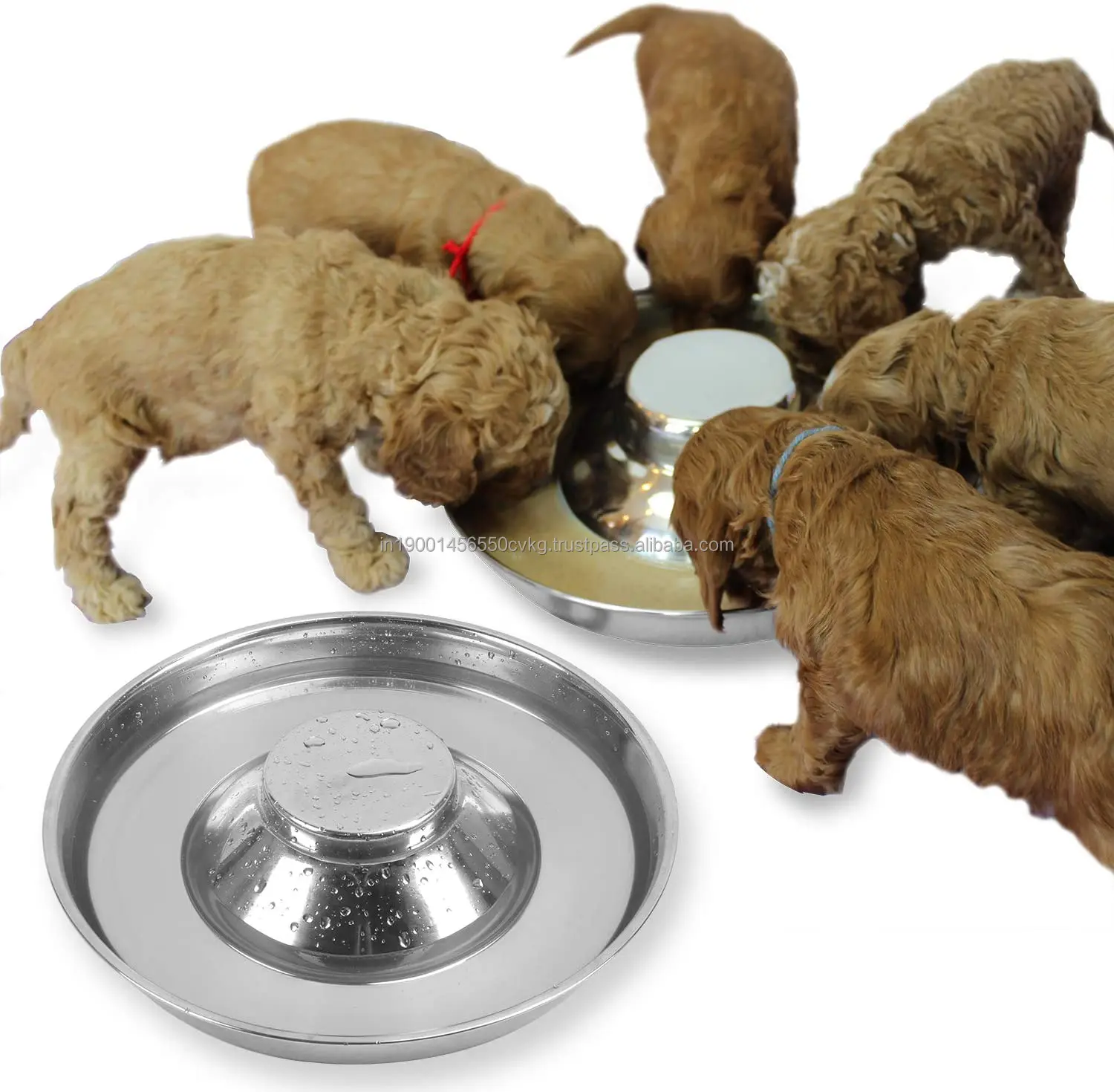 Buy Stainless Steal Made Puppy Bowl Feeding Food and Water Weaning Bowls For Home Pets Uses By India Exporters