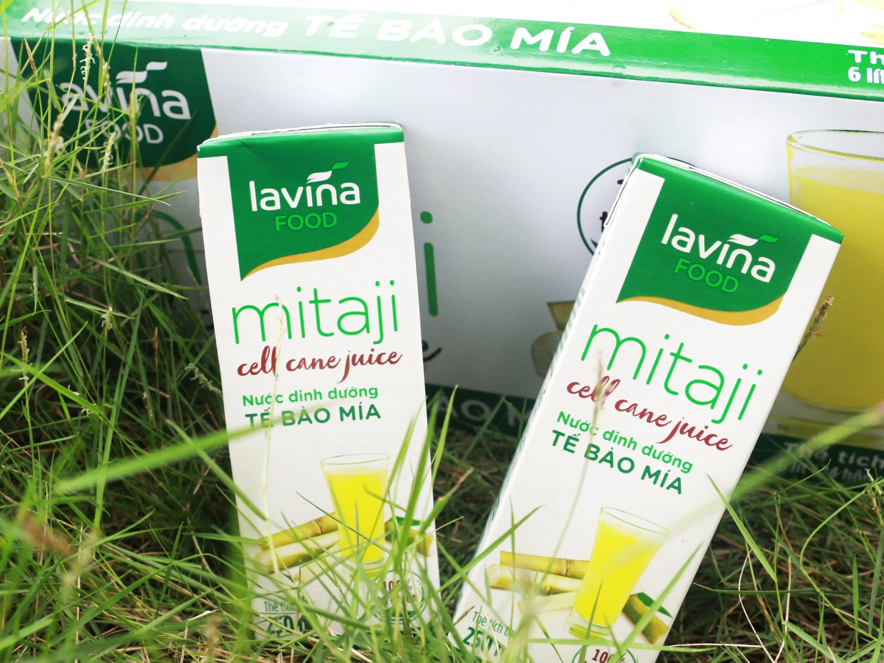 Tropical Natural Juice from Sugarcane Juice Kumquat Flavour 320ml in Can OEM package from Vietnamese Exporter