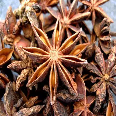 BULK PACKING STAR ANISEED DRIED FOOD FLAVOR RAW SINGLE SPICES SEED for SEASONING VIETNAM
