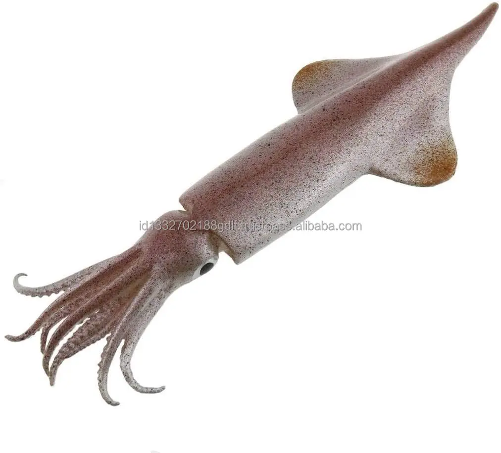 Best Quality 100% Export Oriented Custom packaging  Wholesale Price Fresh Frozen Ilex Squid Export From Indonesia