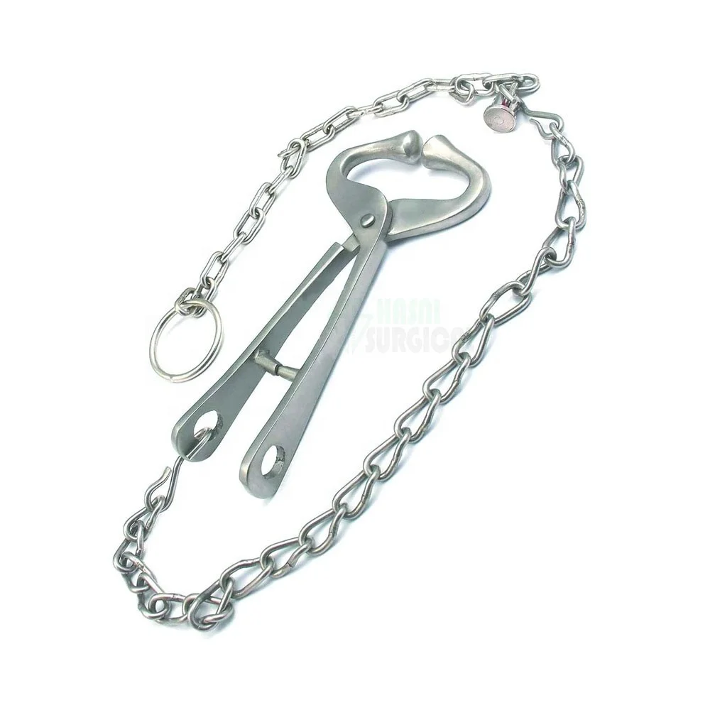 Bull Lead   stainless steel 7 5   Long with chain   13.5  Long   by hasni surgical