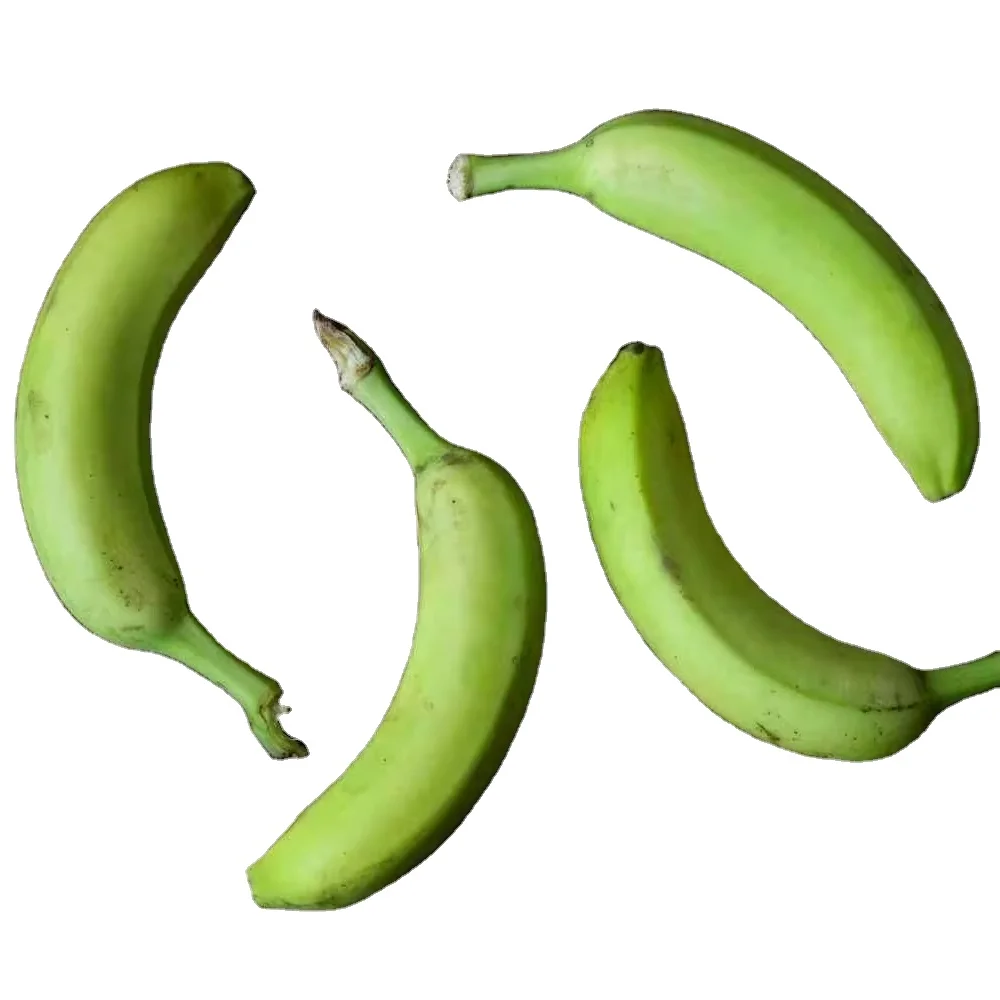 Green banana Wholesale high quality green banana fresh fruit Vietnam supplies banana green natural taste