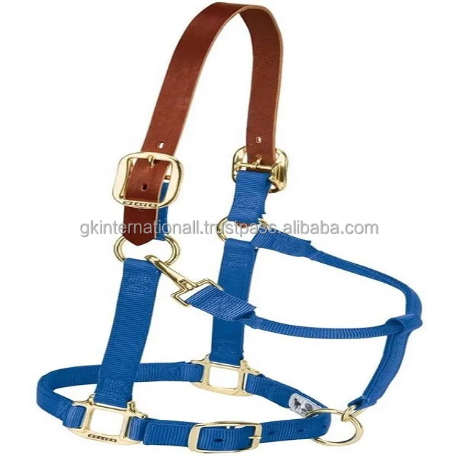 Wholesale Equestrian Products Hors Halters Long Lasting Fine Horse Halter Manufacturer PVC halter with leather crown