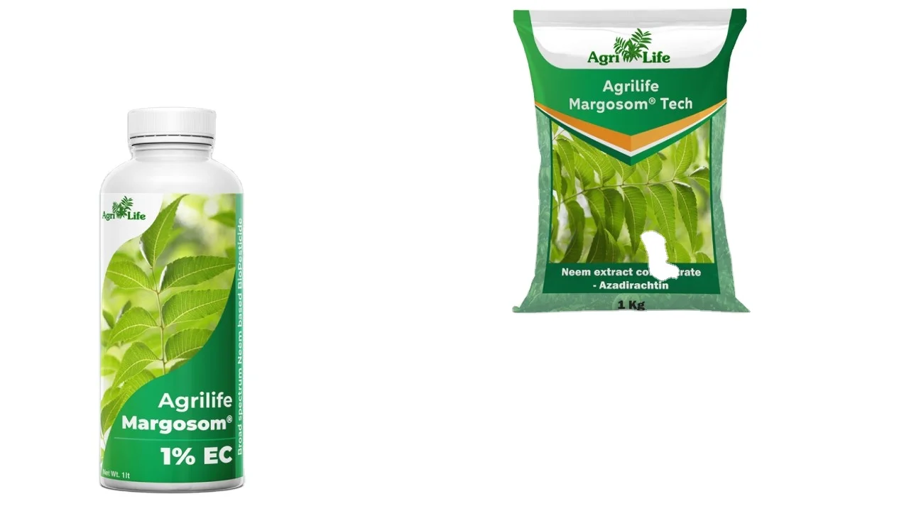 
Neem extract Bioinsecticide Kills Crop Damaging Pest Herbicides Margosom Tech NanoTech 