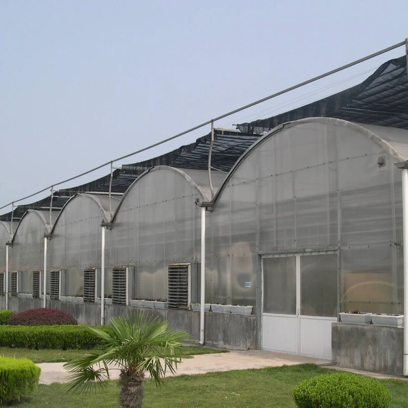 Top Sale Float Ultra White Thin Film Optical Glass Greenhouse for Strawberry/Tomato/Cucumber with Hrauponics System/Fan Boiler