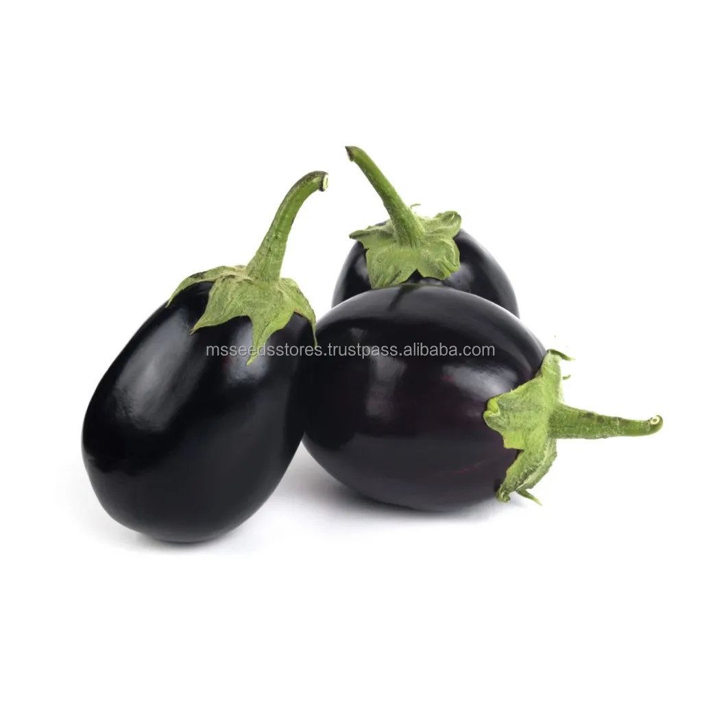 Brinjal Round OP.jpg