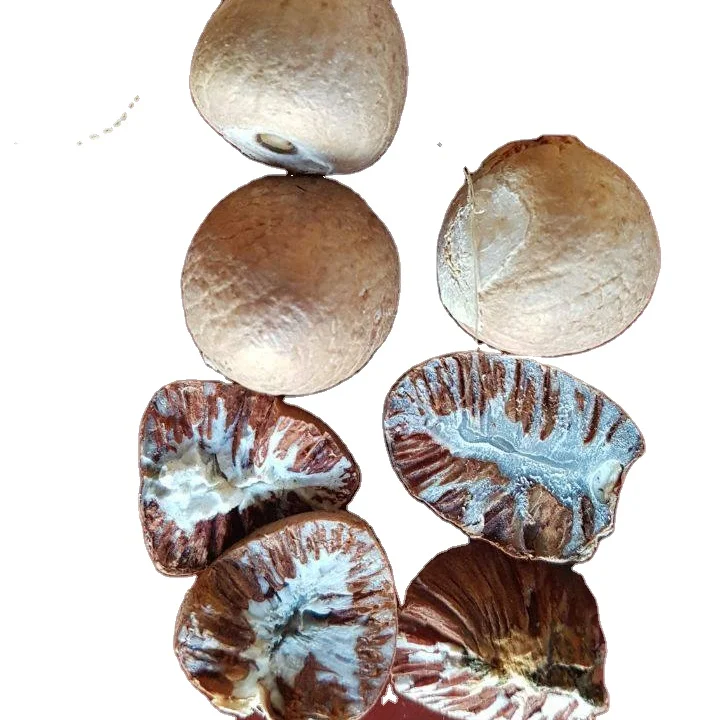 Best Selling Export Quality Whole and Split Areca whole betel nut AKINA