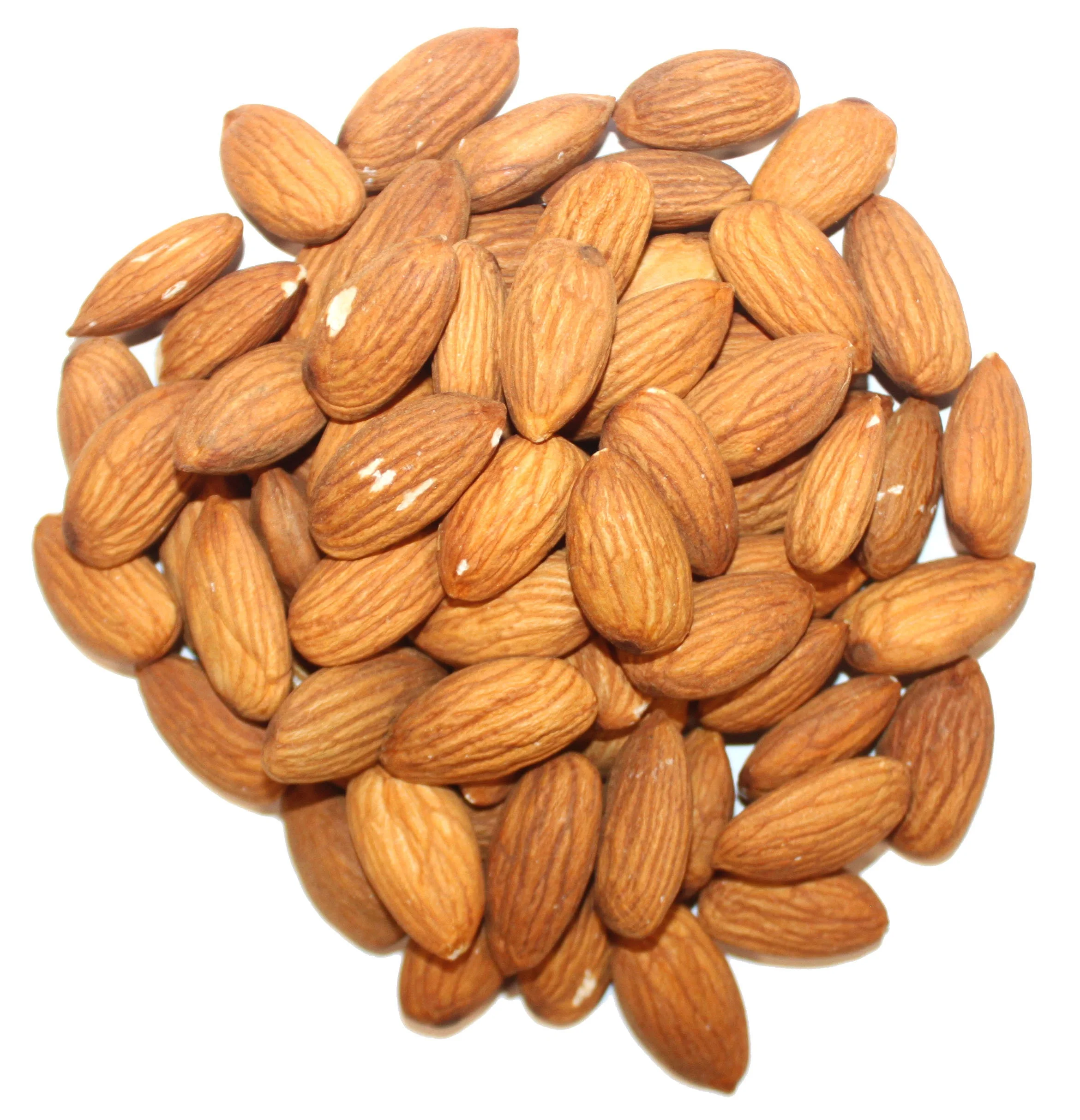 Buy Almonds - Almond Nuts - Raw Bitter and Sweet Kernels - Ships in Bulk a Grade Dried Organic Cultivation
