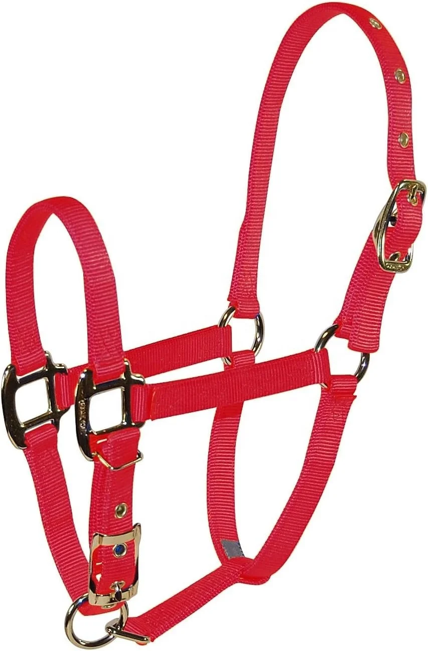 8D SMNV 3/4-Inch Nylon Arabian Horse Halter for 500 to 800-Pound Horse  English Saddle Halters From India