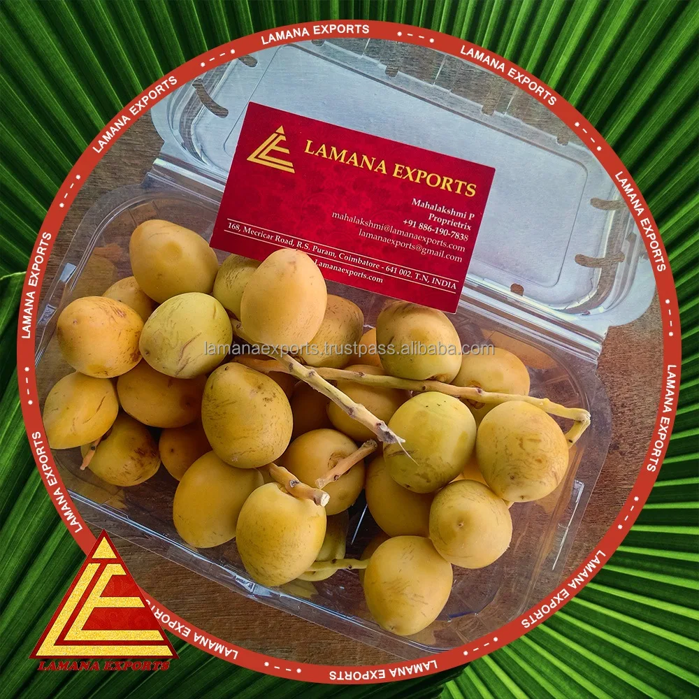 
Barhee Dates / Palm Dates / Date Fruit 100 % fresh and Natural with best prices and discount 