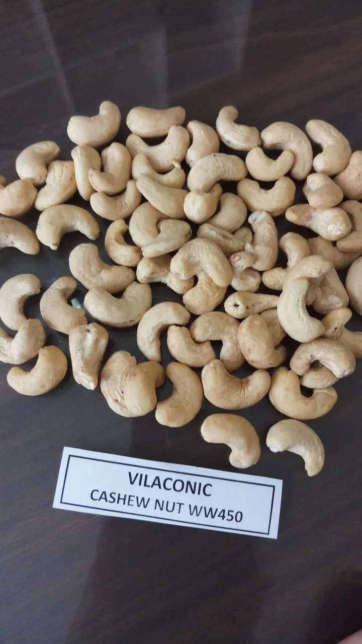 Customizable Crafted Hot Sale Natural Wholesale Fresh Kaju Raw Cashew Nuts (RCN) W180 W240 W320 W450 LP BB Blanched Processing
