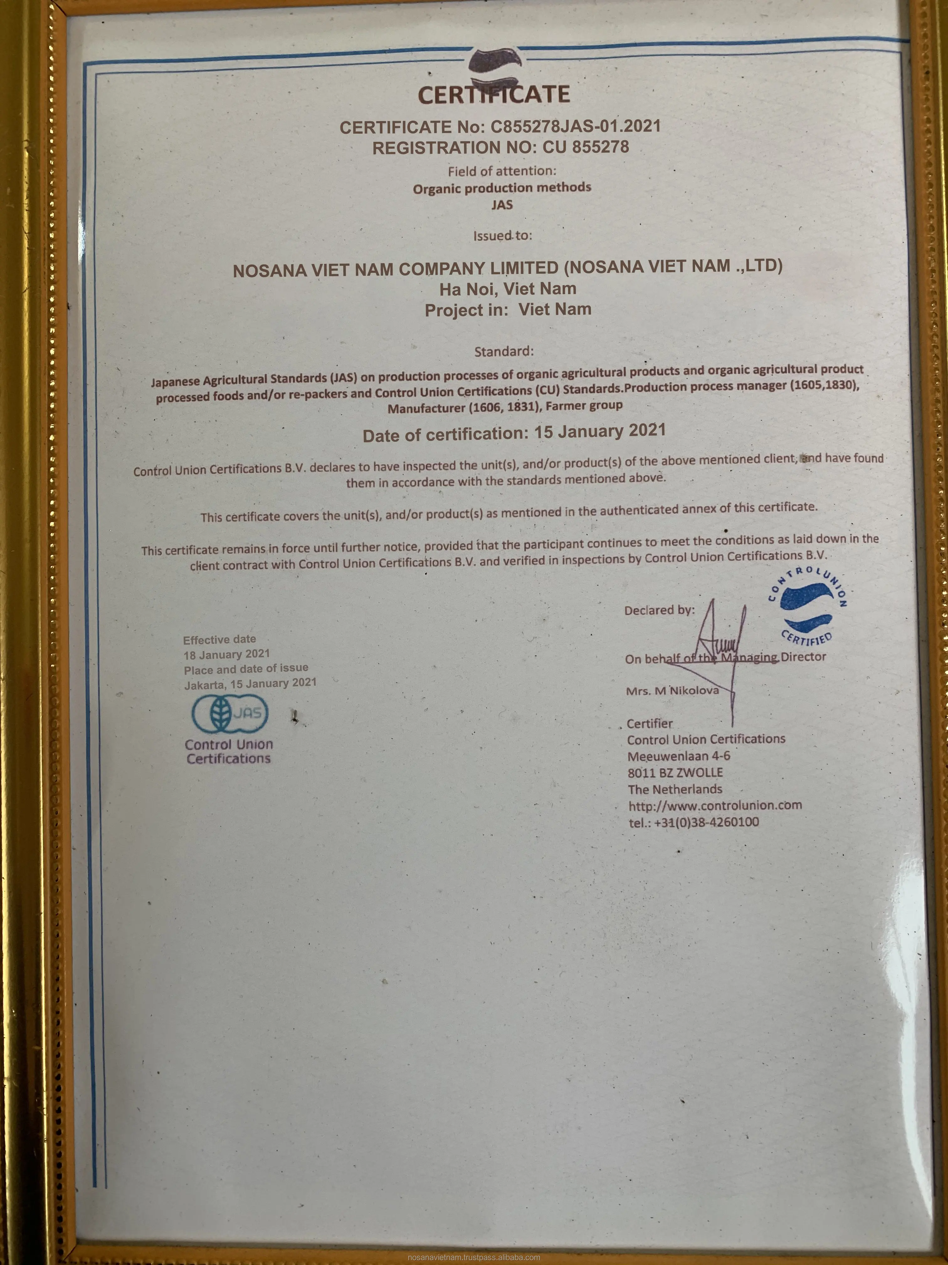 Cashew Nuts WS240, WS320, WS450,  Delicious Taste Best Price From Vietnam