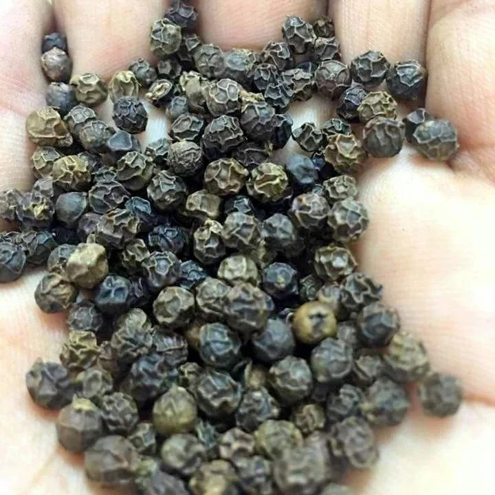 
Dried Organic Black Pepper High Quality Black Dry Pepper With Good Price 