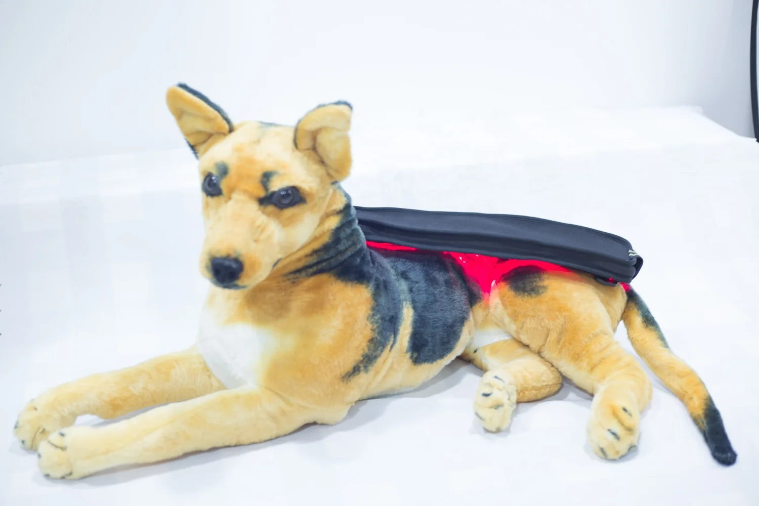 Pain Treatment Physical Laser Therapy Machine Equine Laser Veterinary  Diode Laser