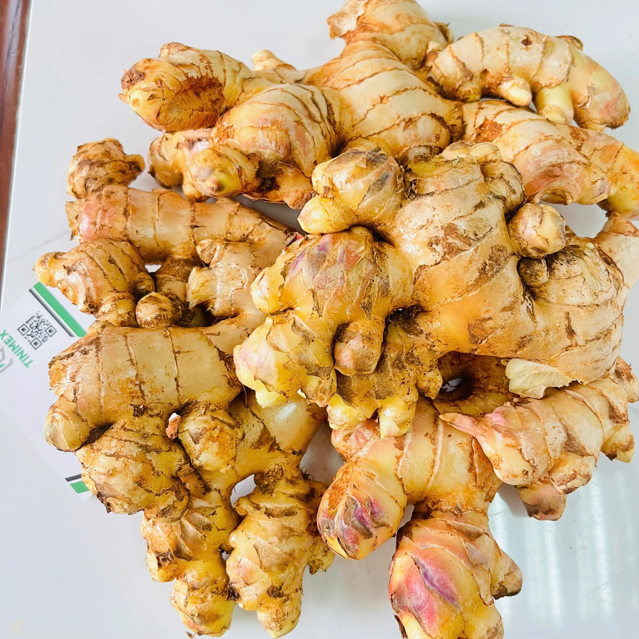 Fresh Ginger/ Gingembre | Best Quality in Vietnam (WhatsApp: +84366808683)