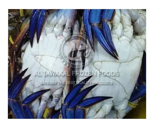 Blue Swimming Crab