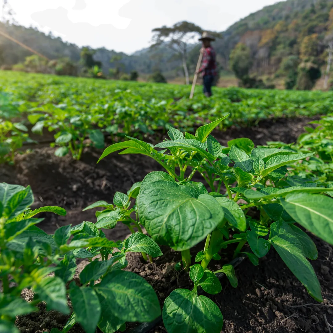 //sc03.alicdn.com/kf/Sa714349efc9e4af4ac4d4b8536a012f35/7013205845/Sa714349efc9e4af4ac4d4b8536a012f35.png_100x100