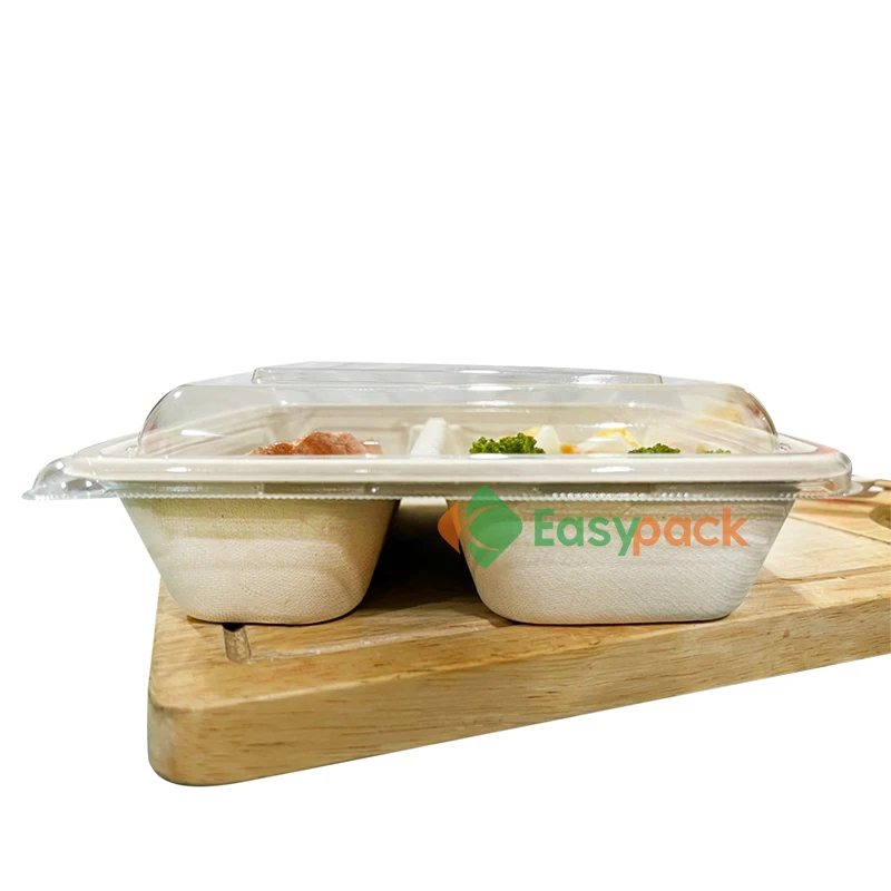 Disposable Take Out Box Fast Food Containers with Plastic Lid