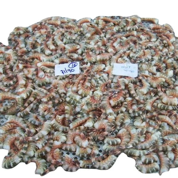 Замороженный Кот тигр креветка HLSO