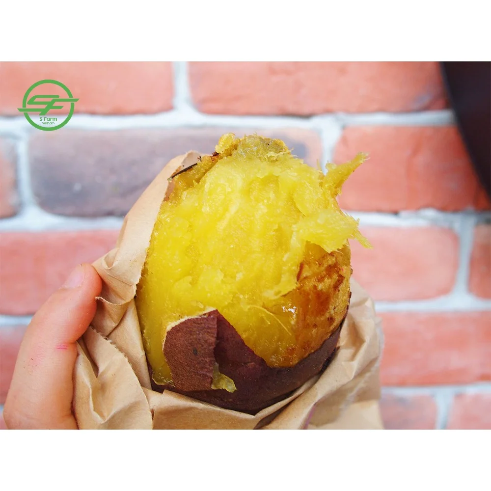  Оптовая продажа свежий сладкий картофель/желтый картофель (Whatsapp/zalo/wechat: + 84 912 964 858)