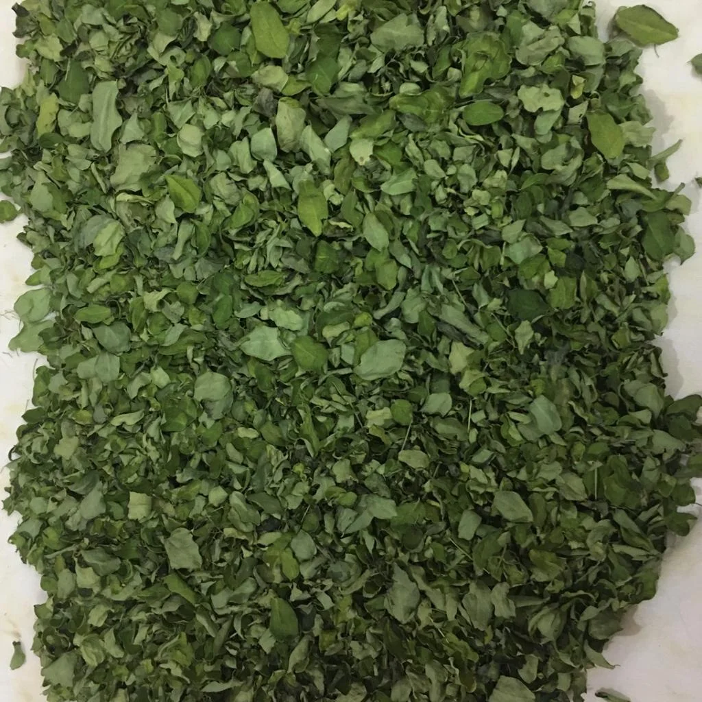 Wholesale organic moringa leaf powder