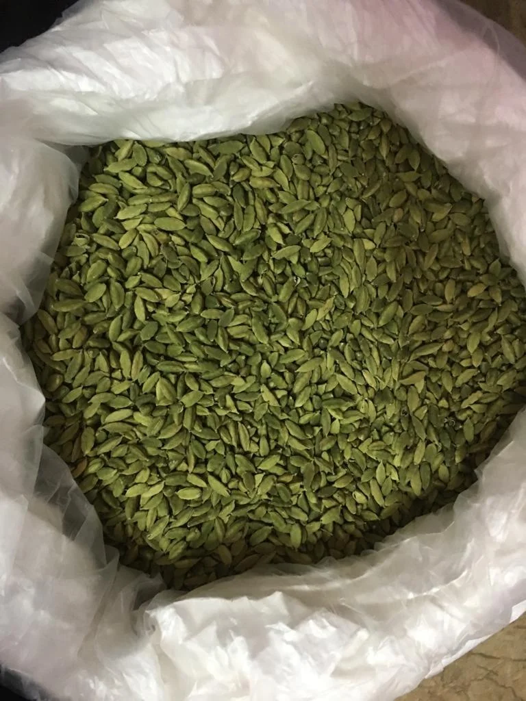 Fresh Indian Bold and Round shape Green Cardamom 8 + mm  for daily Home usage wholesale supply