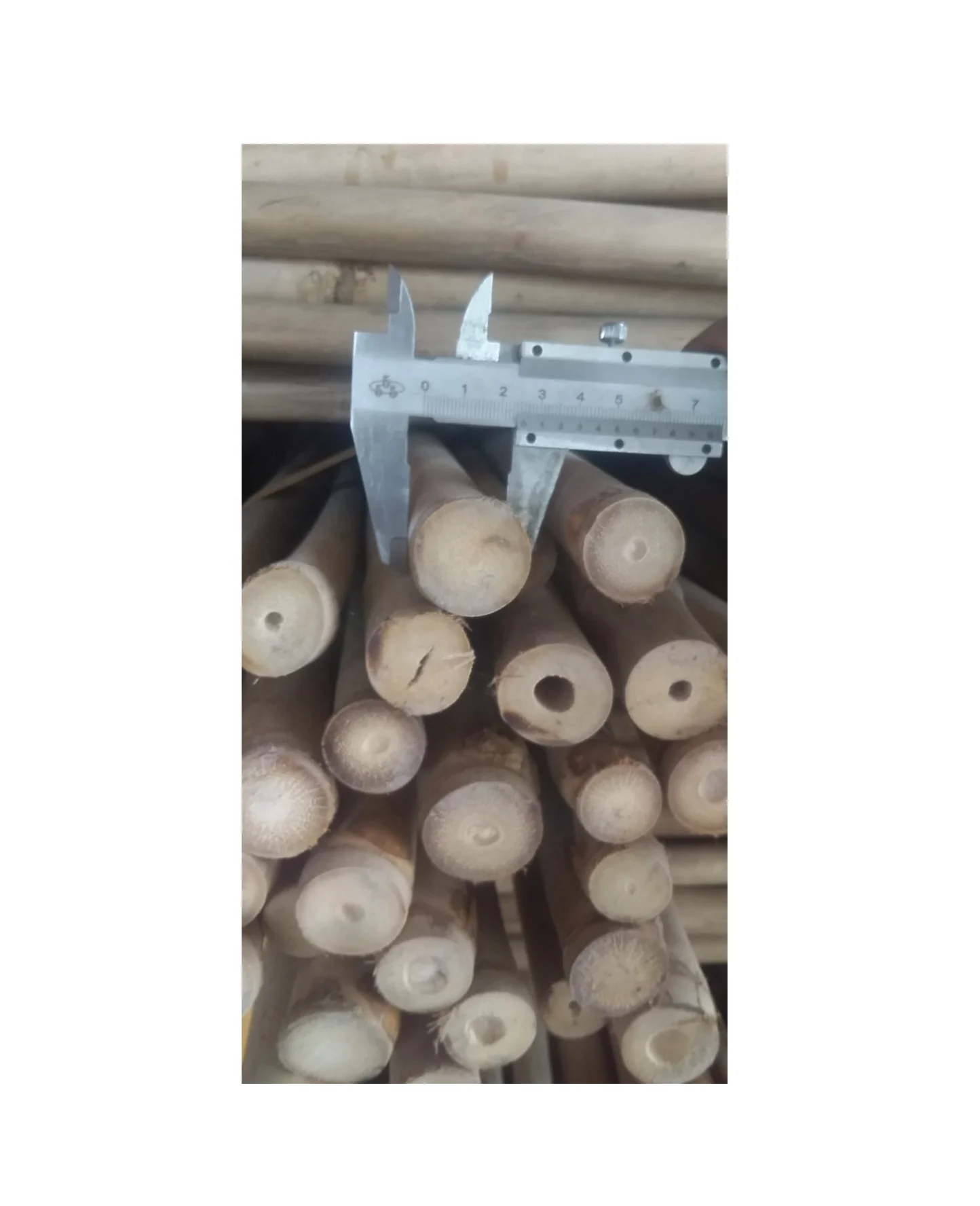 Top Polished Bamboo Poles Cane 40 to 50 mm Diameter by 4m Long for Structure Project Garden Home ( Whatsapp 0084587176063 Sandy)