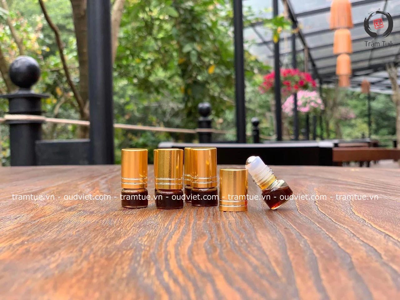 Vietnam Agarwood Oud Essential Oil low price high quality extracted from organic Oudh raw material