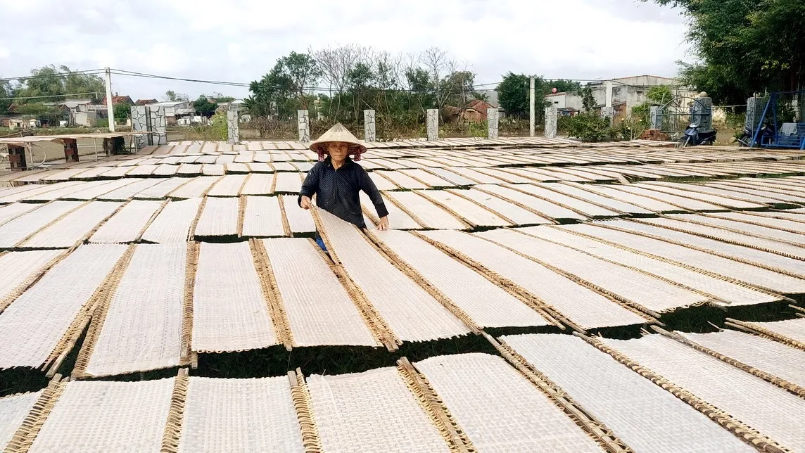 High Quality Chicken Rice Paper Snack Dried Vietnamese Spicy Sauce Low MOQ Snack Dried Chicken with Sauce In Box Packaging