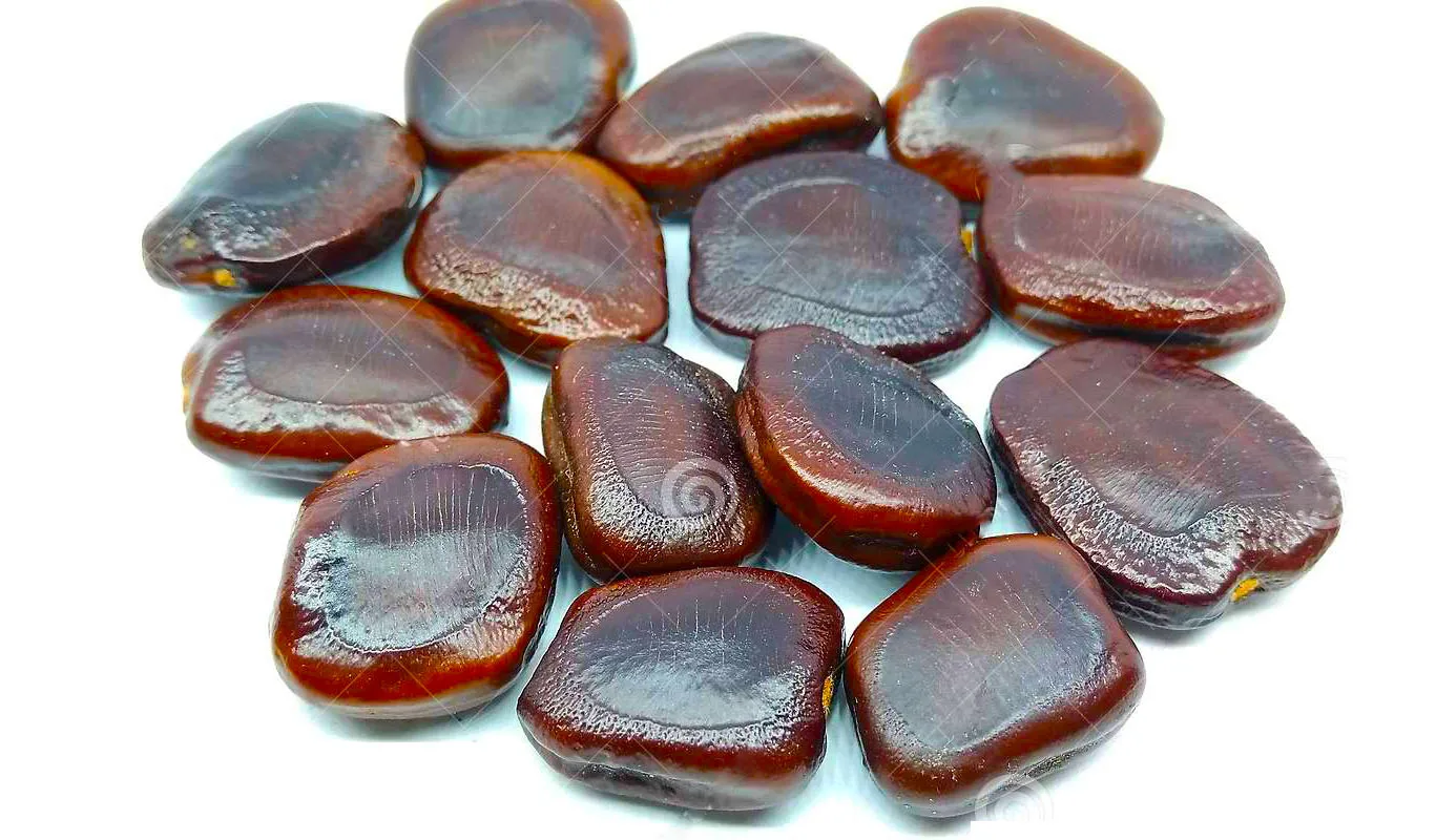 Broken Split Tamarind Seed,tamarind Seeds Thailand Turmeric AD Single Herbs & Spices Dried Raw 2022 Crop from TH;3 +66972381343
