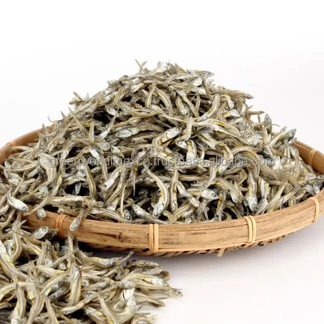 ANCHOVY 8.jpg