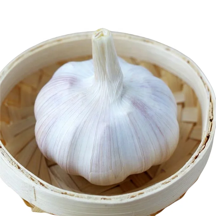 Export Wholesale Russian Supplier High Quality Low Price Natural Fresh 2021 Year Crop Giant Spicy and Hot Garlic