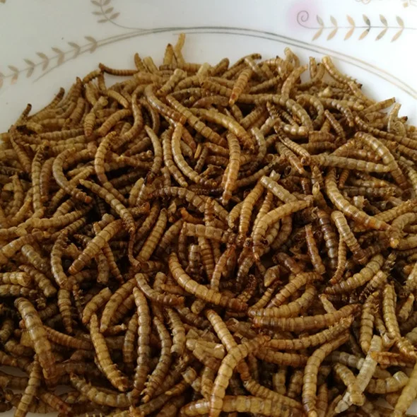 Microwaved dried mealworm bird food pets food animal food