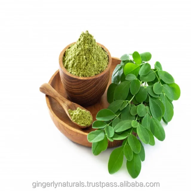 Best Price moringa Leaf Powder in Stock