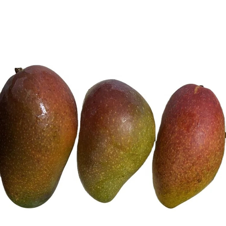 Wholesale Good Quality Fresh Mango Fruits Exported Thin Kernel Sweet Juicy Mango