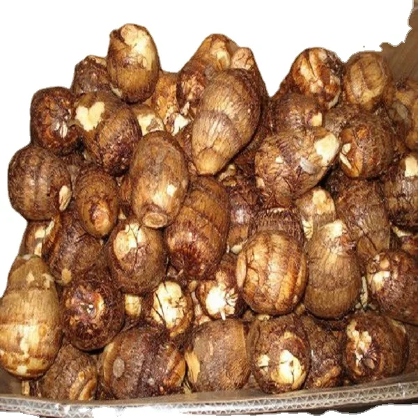 U5954cbb857f04eb3bb730283649be5acv (1).jpg