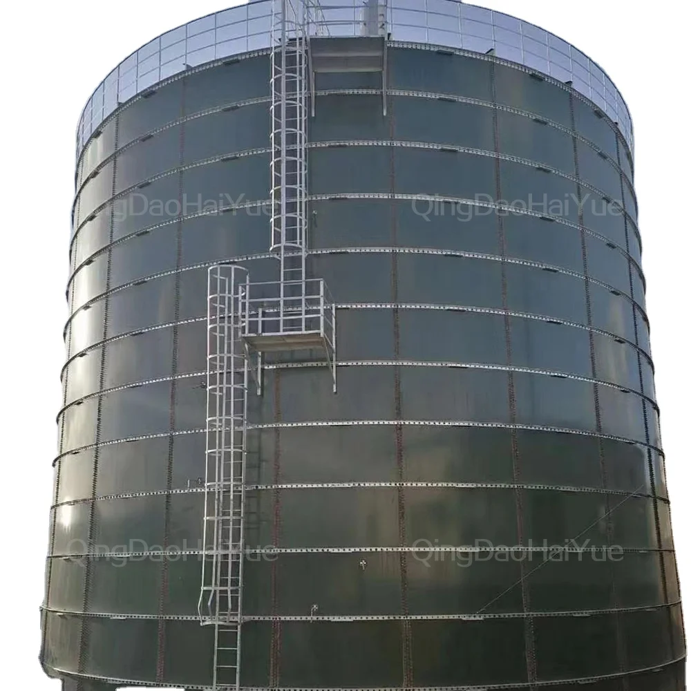 13.CE Certified Low price Double Membrane Biogas Storage Tank, Biogas Holder, Biogas Cover