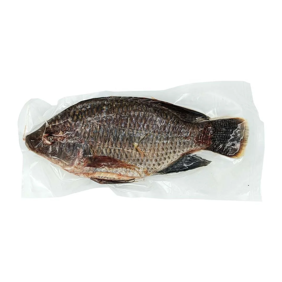 Wholesale frozen fish mackerel exporters fresh frozen red tilapia fish