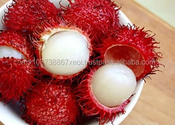 Fresh rambutan / Canned rambutan export standard