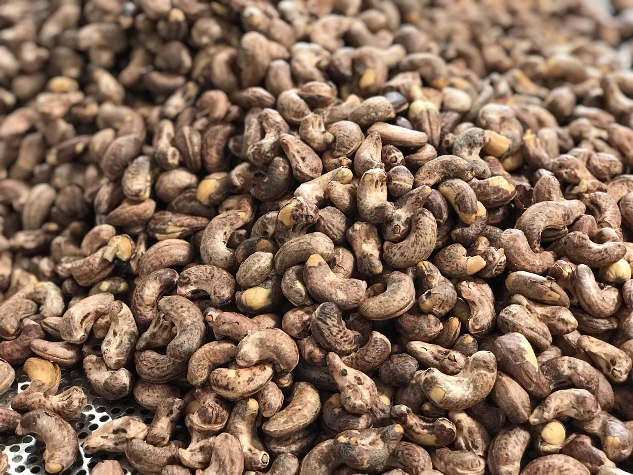 cashew nuts and seeds CASHEW NUT WW320 WW240 COMPETITIVE PRICE
