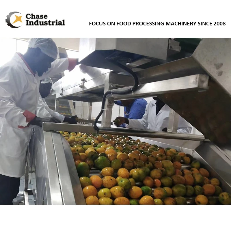 Mango Fruit Juice/Pulp/Paste/Sauce Processing aseptpic filling processing line
