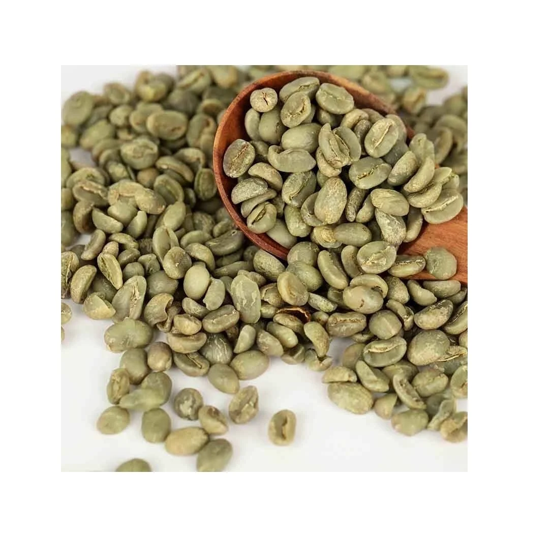 Высококачественные кофейные зерна AA Green Arabica-Clean S16 S18-по выгодной цене для экспорта из Вьетнама