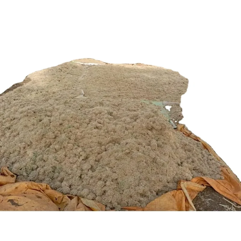 Индийские Золотые фрукты лук Техасский Грано экспорт в массовой